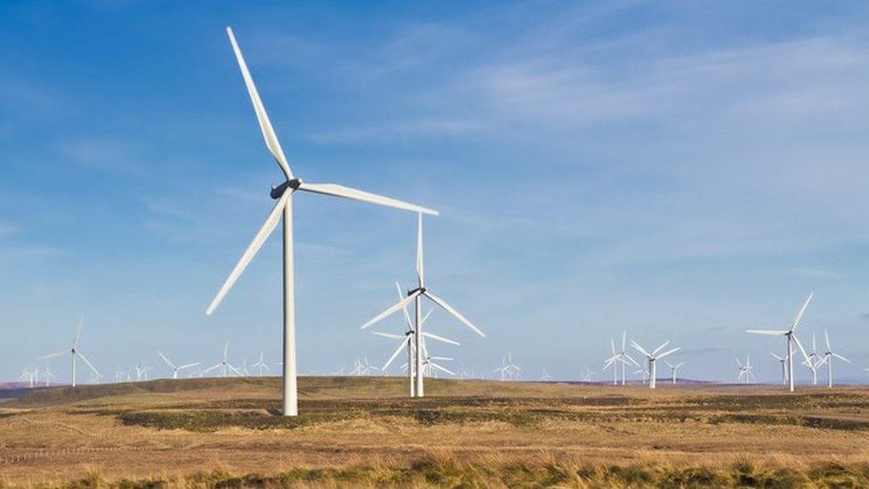 Whitelee wind farm