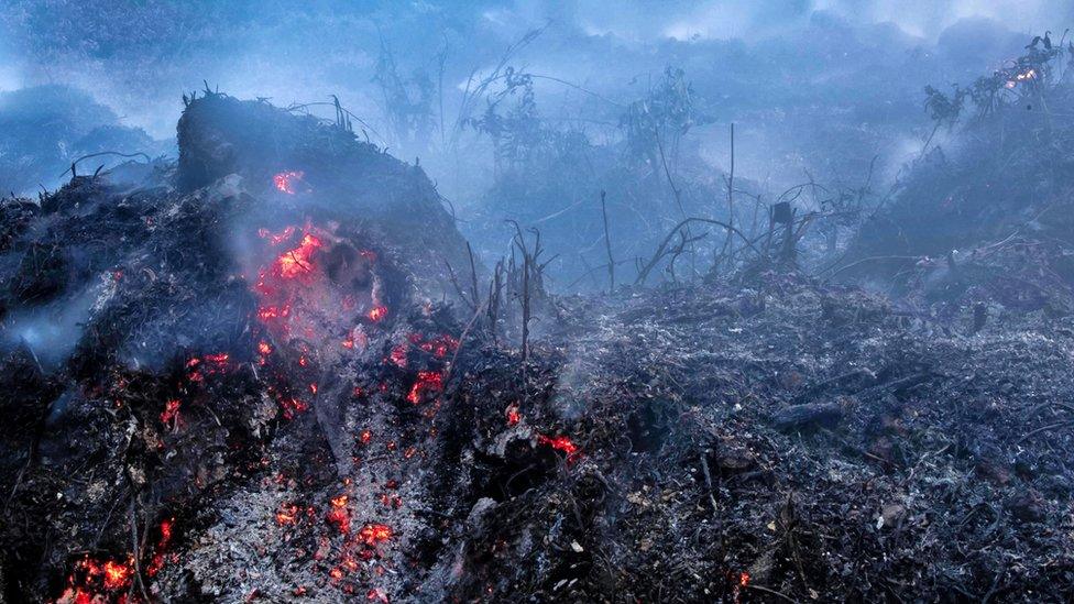 A freshly scorched landscape is seen in Riau, Indonesia