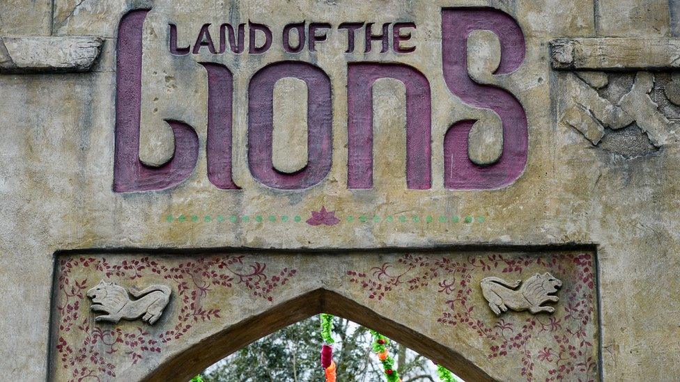 Land of Lions enclosure