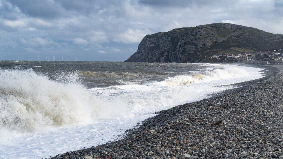 North shore beach with brown crashing waves.