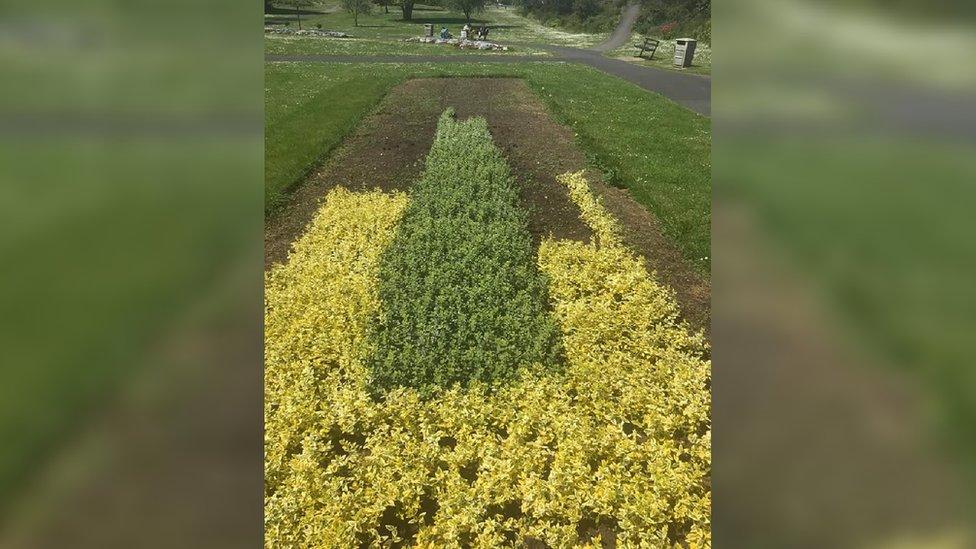 A damaged flower bed