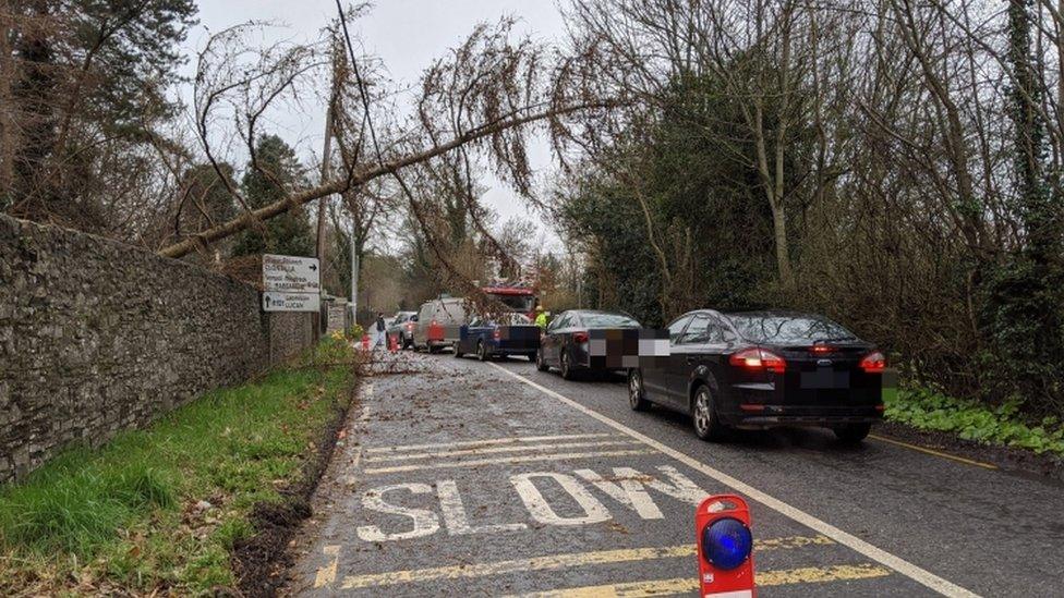 The Porterstown Road was partially blocked at Luttrellstown Castle near Dublin after a tree fell on to cables