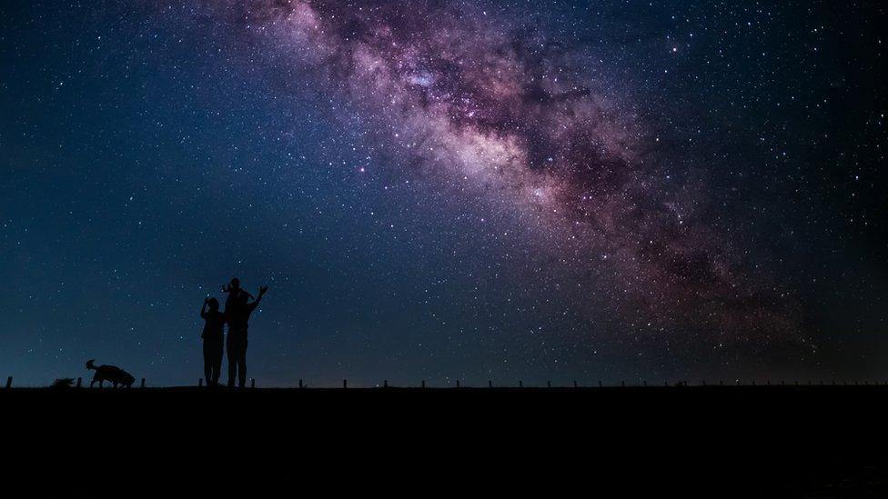 kids-stargazing-with-dog