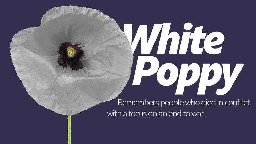 White Poppy.