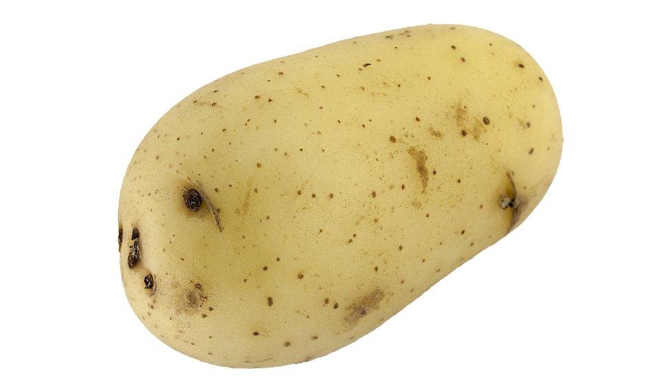 potato