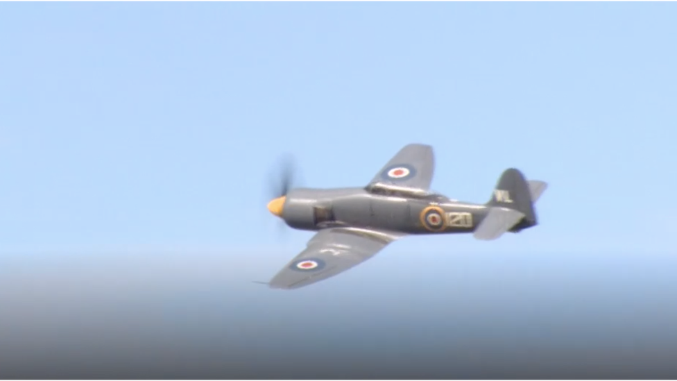 A Sea Fury plane