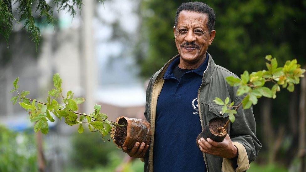 An Ethiopian man posing with tree seedlings during a national tree-planting drive in the capital Addis Ababa