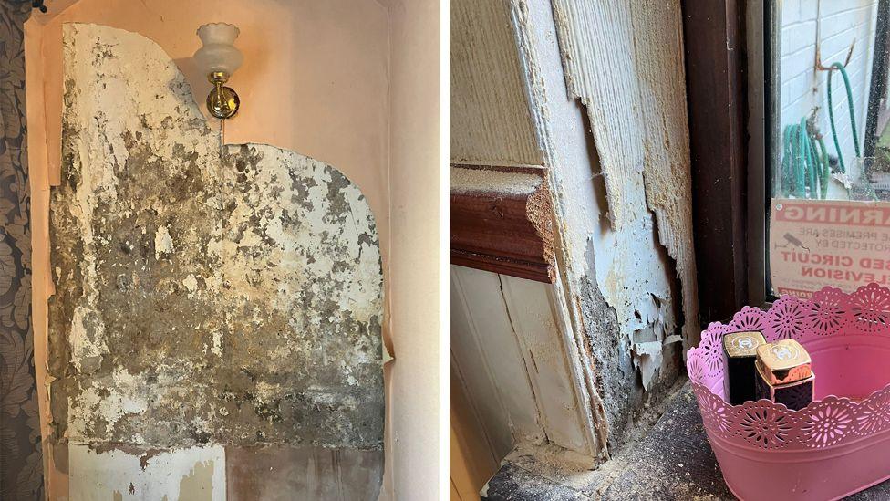 Two photographs of Margaret Chappell's house showing peeled off wallpaper, black mould and crumbling plaster