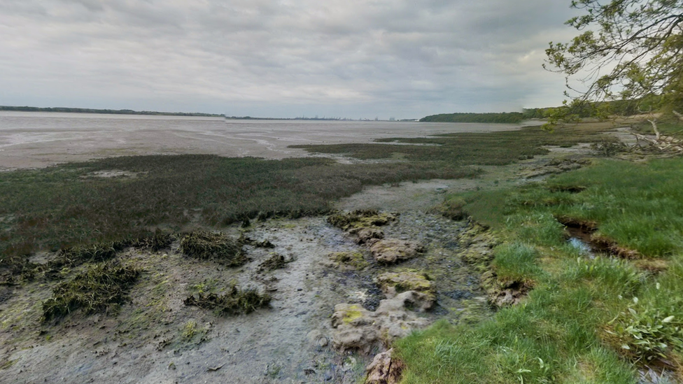 Mudflats near Wrabness