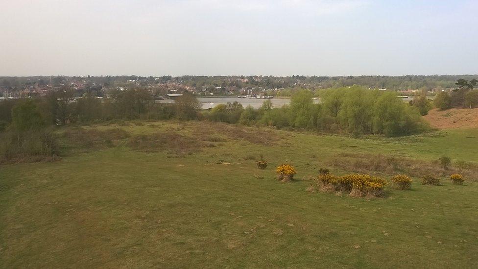 Woodbridge from Sutton Hoo