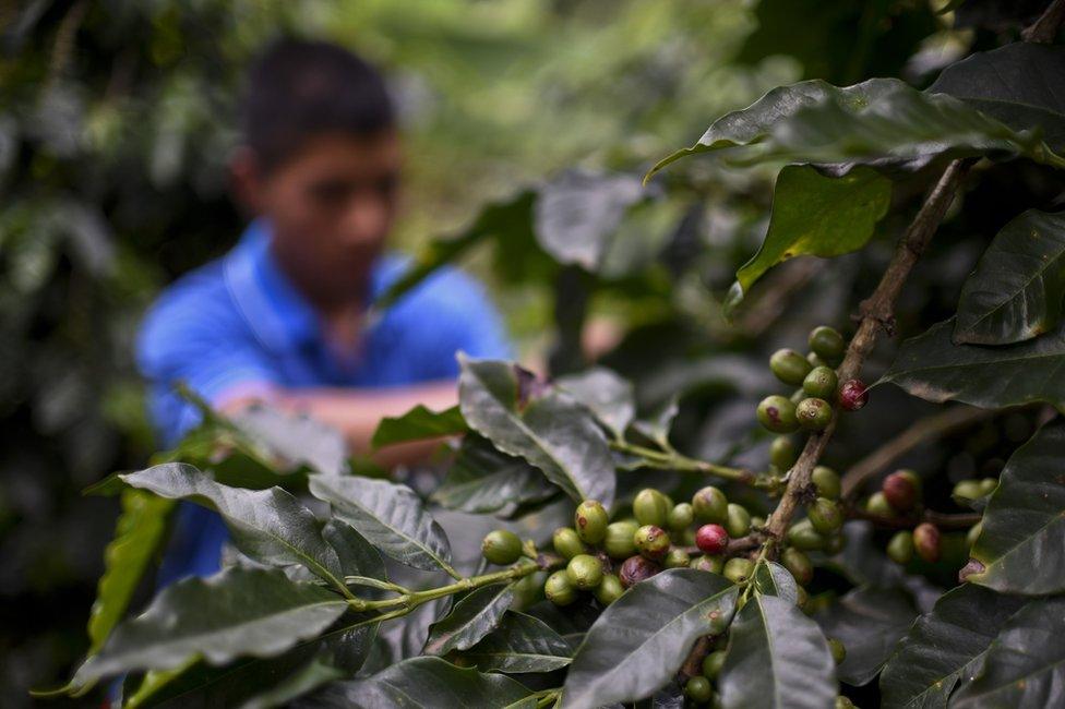 A former Farc child soldier in Cauca, Colombia, 16 March