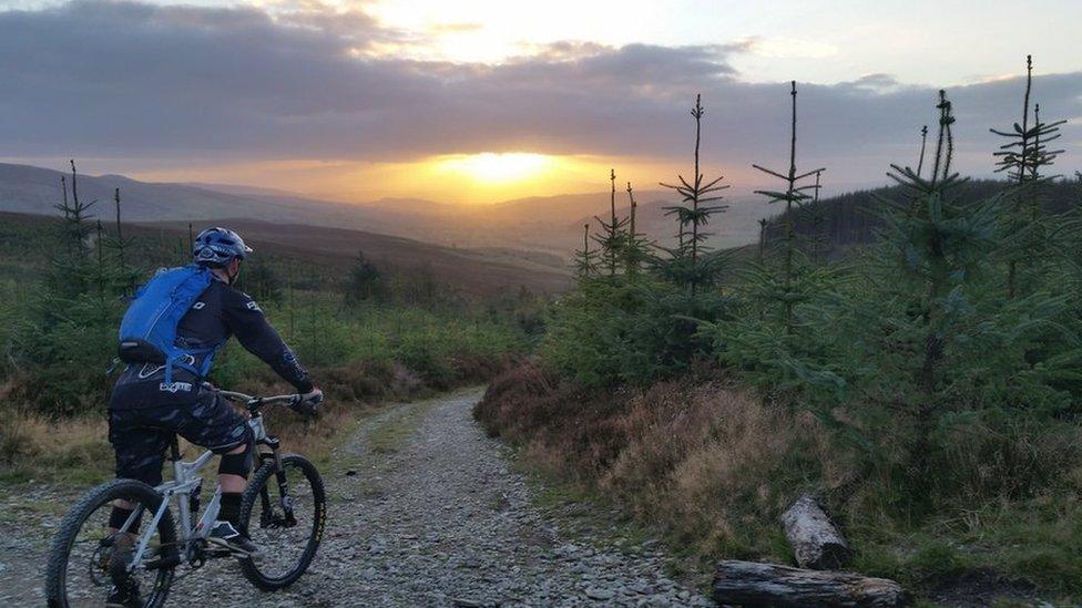 A mountain bike rider in Llandegla, Denbighshire