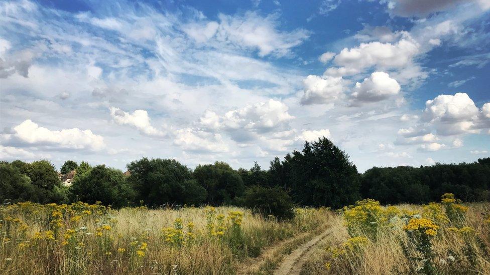 Lye Valley Nature Reserve, Oxford