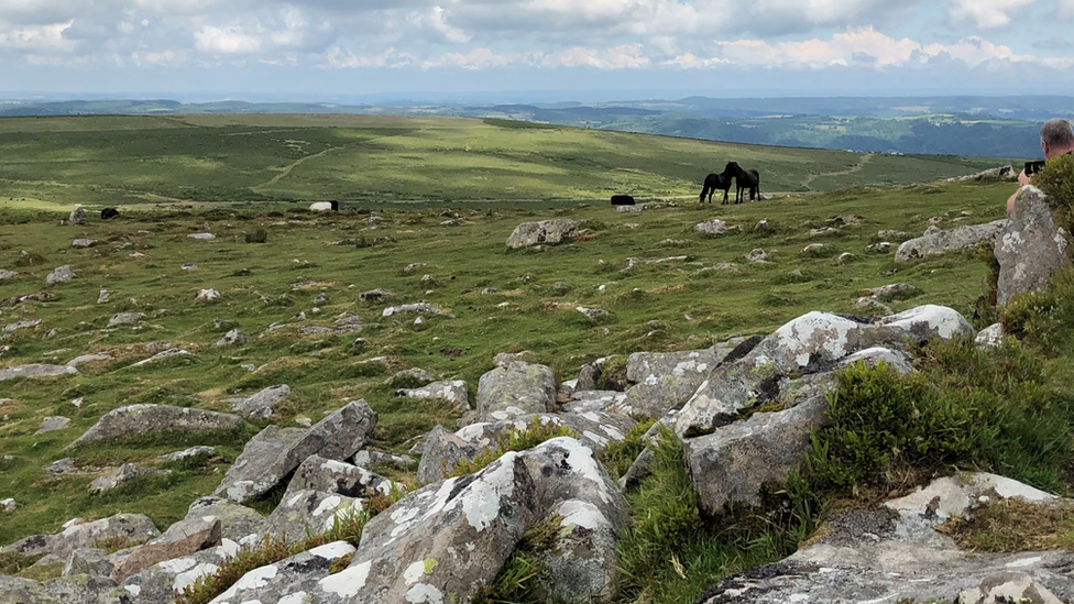 Haytor