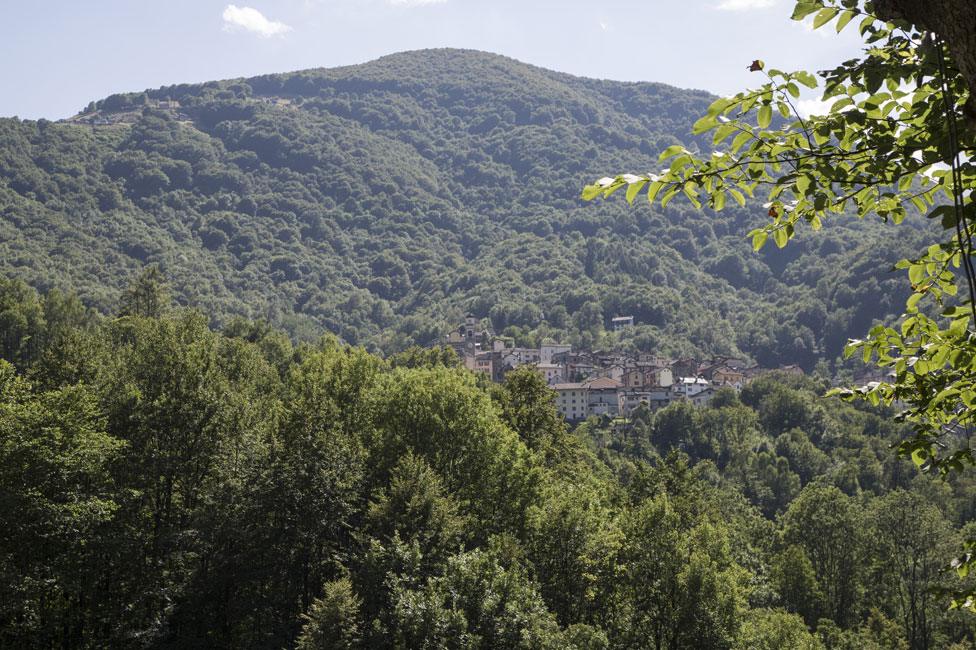 Gurro, and the forested hillside above it