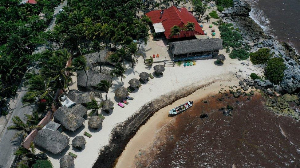 Waters near a Tulum resort are brown from sargassum, a seaweed-like algae, on 15 June