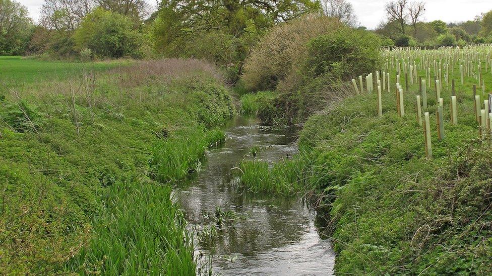 River Wid, Essex