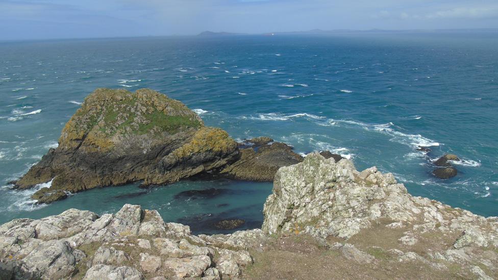 Skomer Island