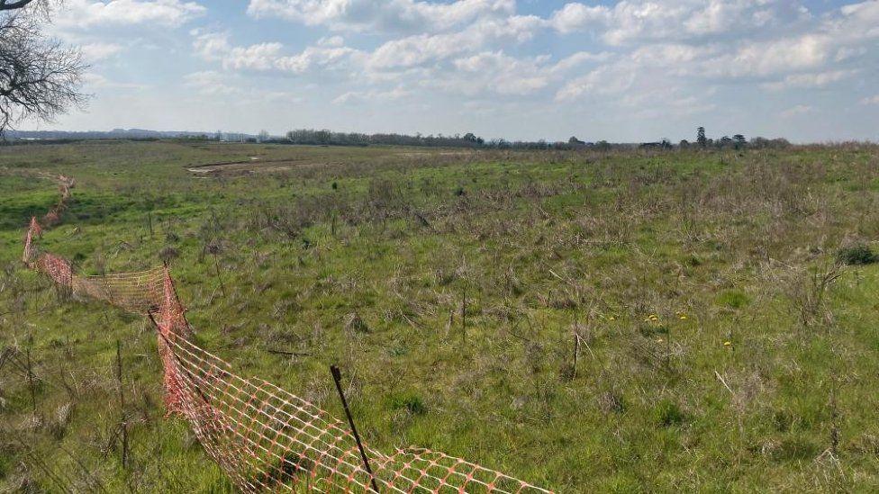 A grass field with red plastic fencing to the left, secured by metal posts. There are hedges and trees in the background.