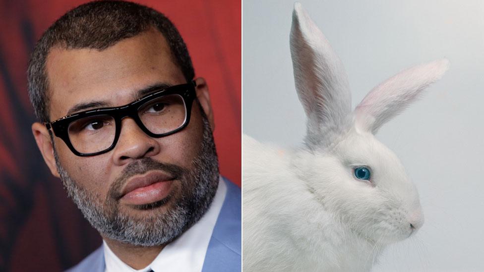 Jordan Peele and a white rabbit