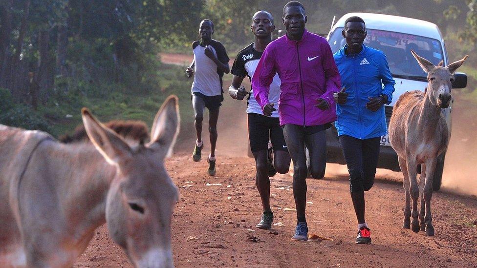 Kenya's twice world champion and Olympic silver medallist Abel Kirui (2nd-R) run during a training session with other athletes in Iten in the Rift Valley, 329 kms north of Nairobi