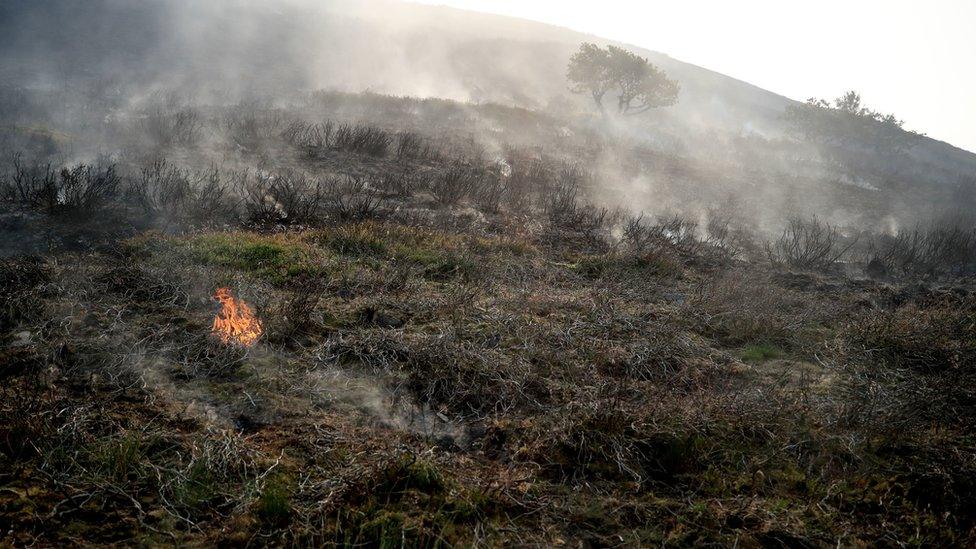 Saddleworth Moor fire