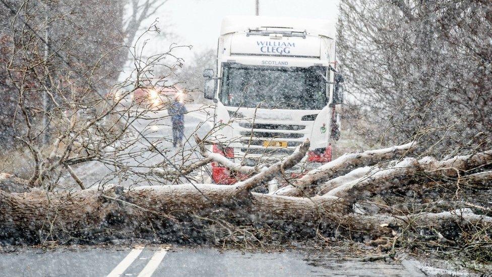 A fallen tree blocks the A702 near Coulter in South Lanarkshire