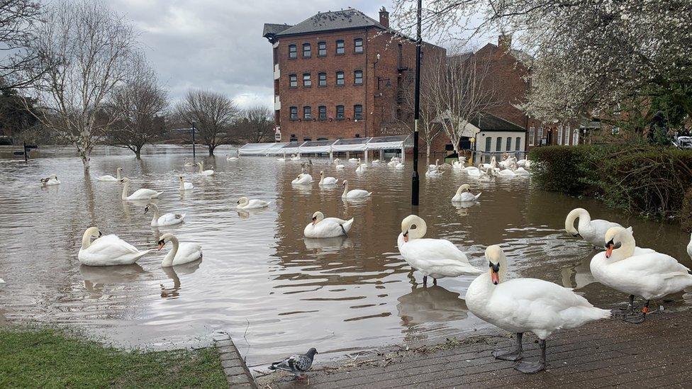 Flooding in Worcester