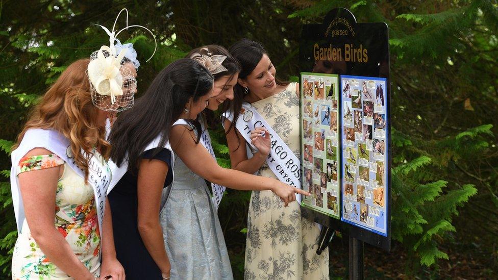 2016 Roses stop to admire a picture of birds