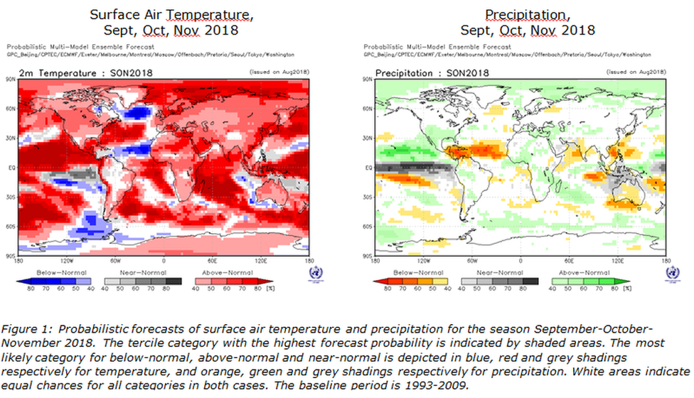 WMO forecast