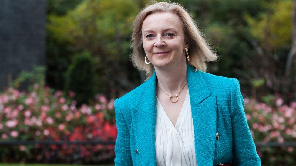 Liz Truss took over from Dominic Raab as foreign secretary in September