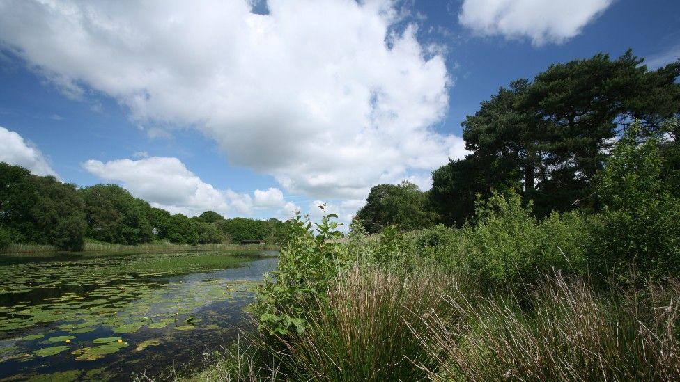 Lound Lakes