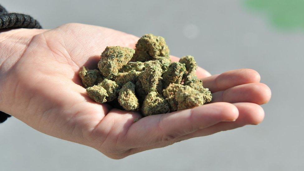 A woman holds a handful of marijuana flower buds, in Vancouver, Canada, on October, 17, 2018.