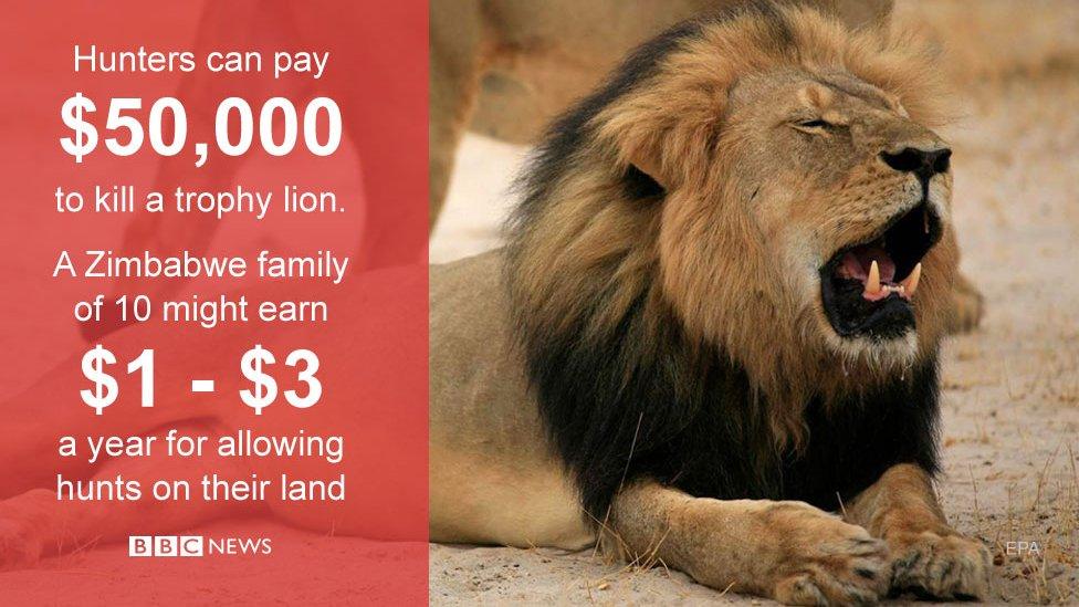 Critics say the money paid by trophy hunters rarely reaches those most in need