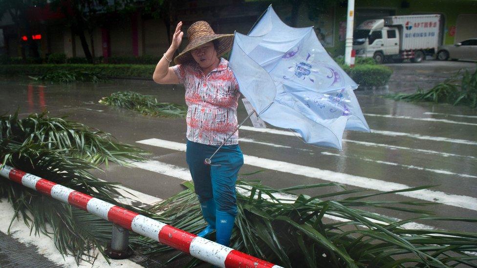 A woman crosses a road with palm tree debris in Yangjiang in China's Guangdong province on 16 September 2018