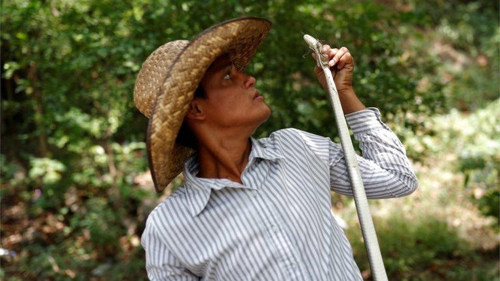 A migrant holds up a snake at the banks of a river in Oaxaca.