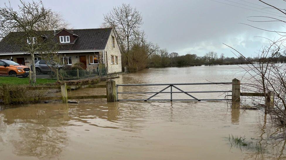 A field is flooded. A gate can only be seen halfway. In the background is a house that has only just been spared by the water.