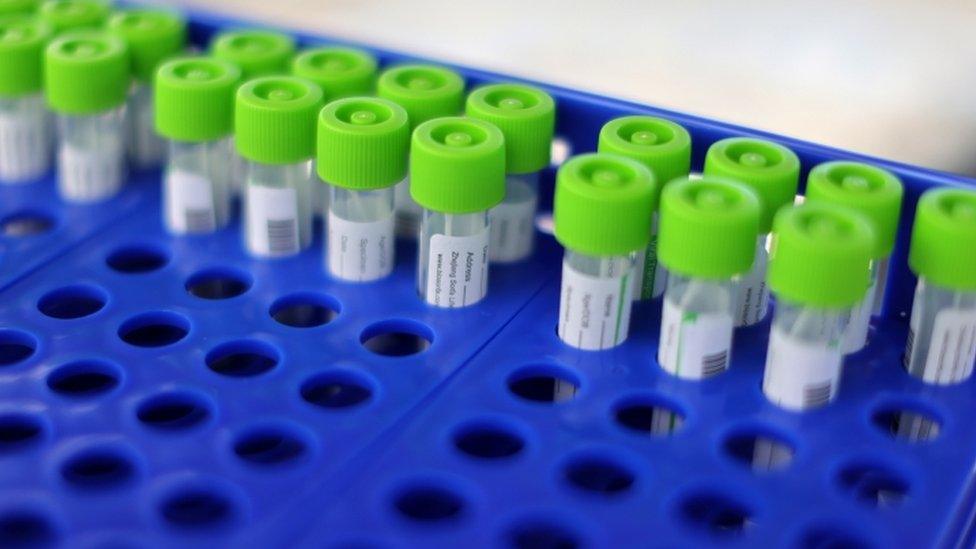 Coronavirus tests