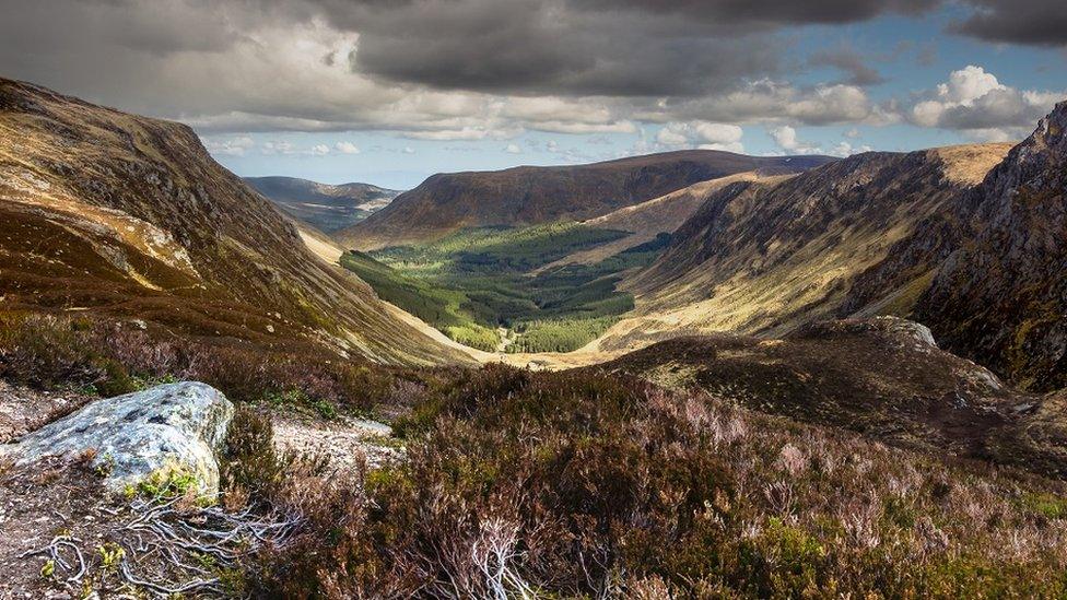 Looking towards Glen Doll