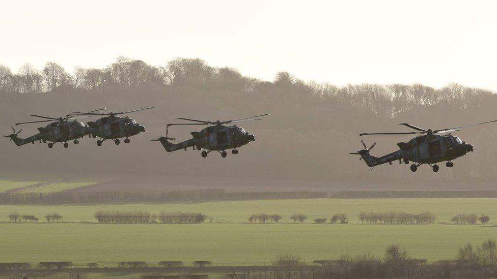 Lynx at Middle Wallop