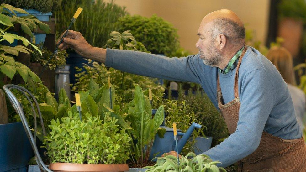 Man arranging flowers at Harrogate Flower Show