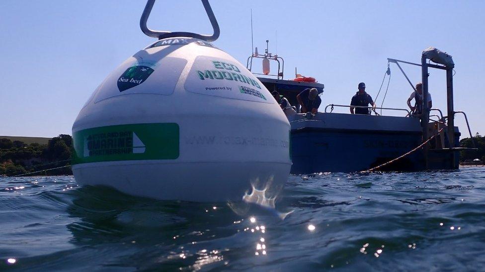 Studland Bay eco-mooring