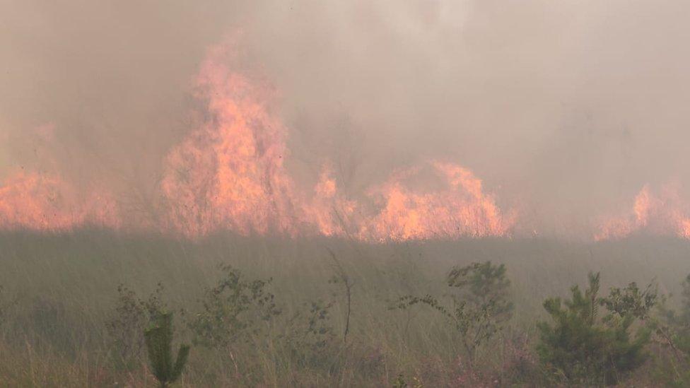 Chobham Common wildfire