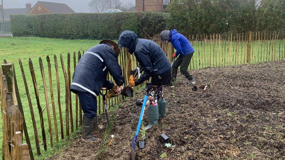 Tiny forest being planted in Flitwick