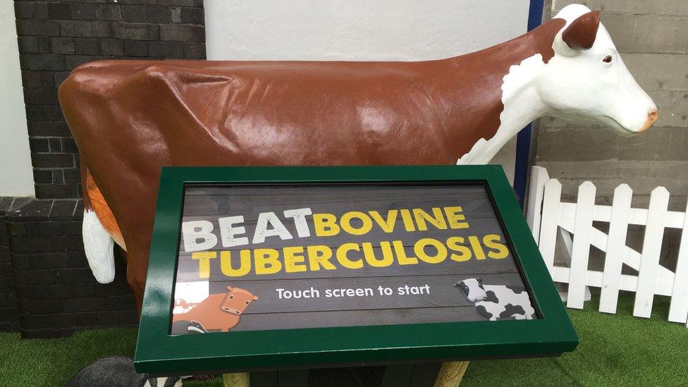 Beat Bovine Tuberculosis game