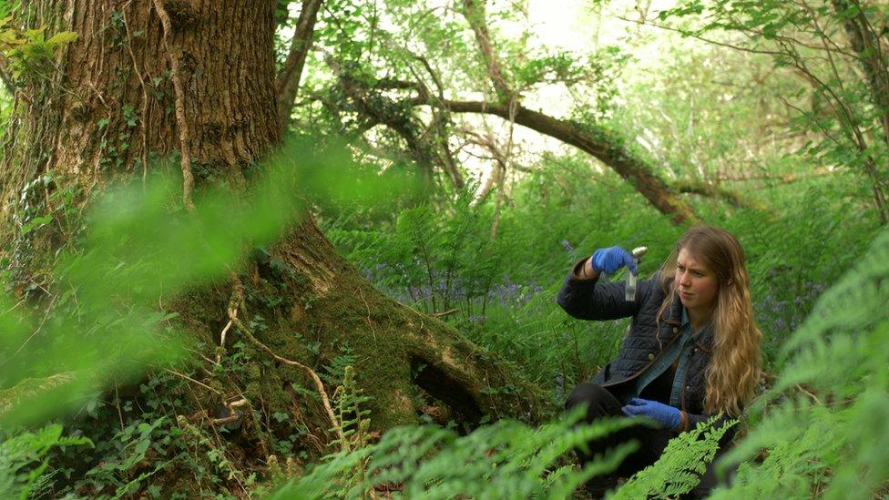 A young woman looking at a test tube in a forest