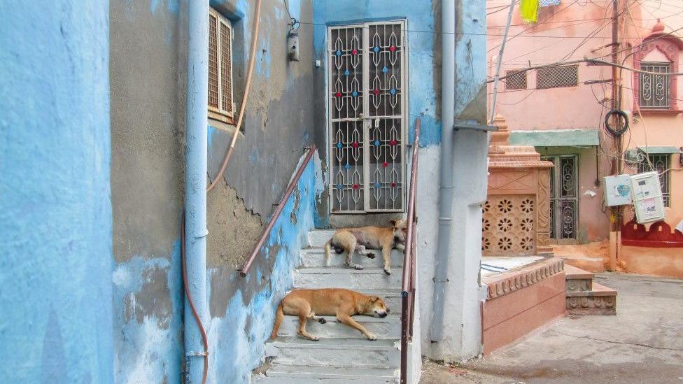 Jodhpur