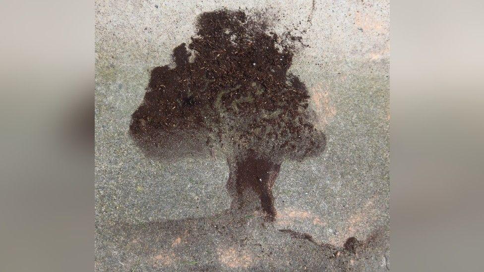A black and brown marking in the shape of a tree on stone which looks like the Sycamore Gap tree.