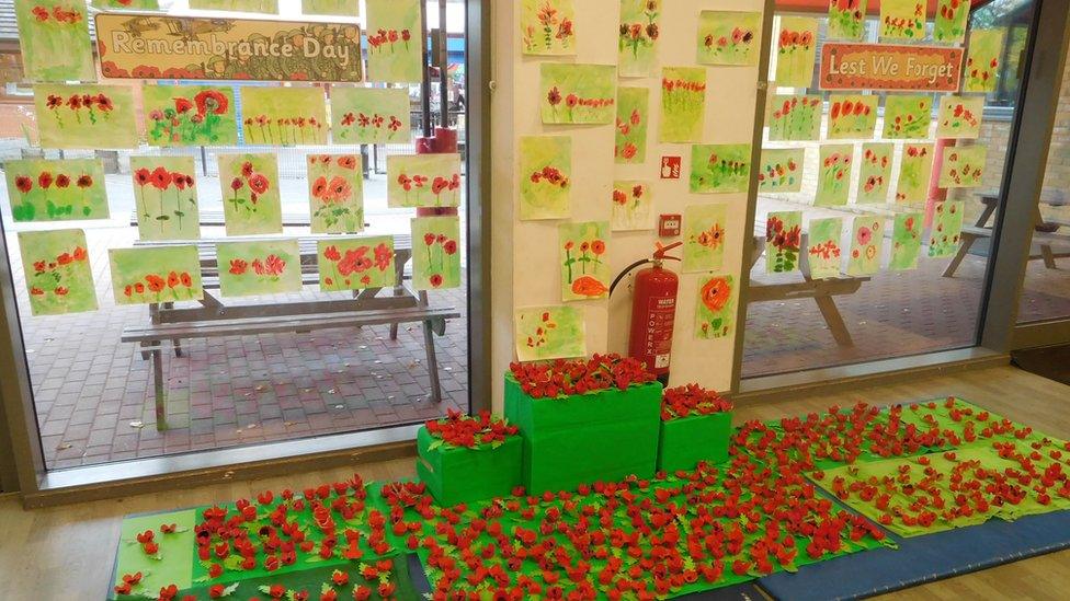 Image of lots of poppies.