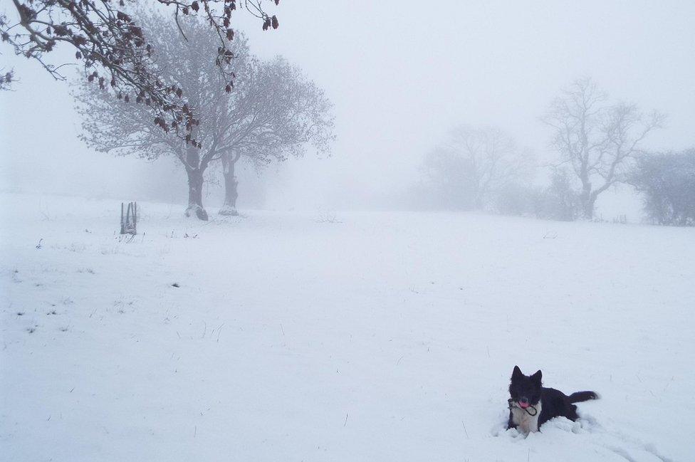 Winster snow